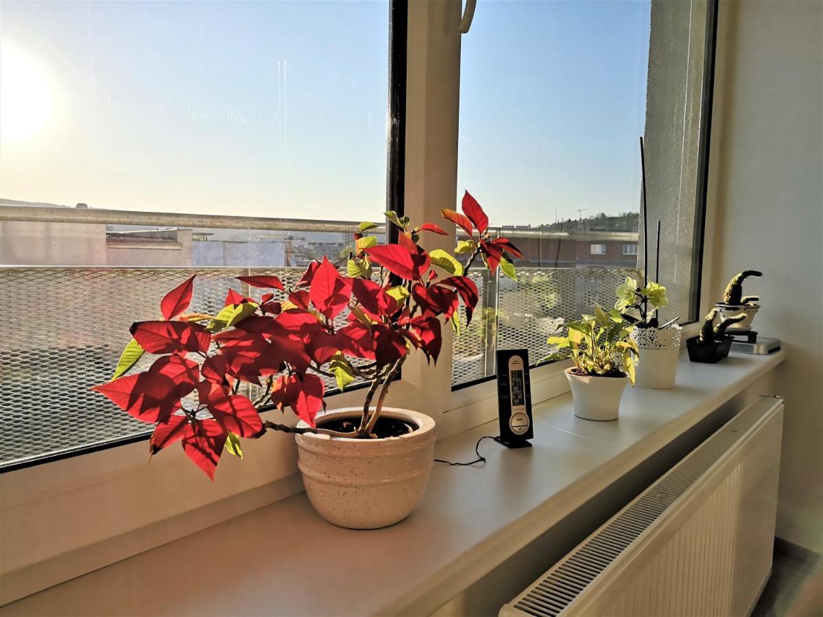 New Apartment With Garage Parking Брно Экстерьер фото